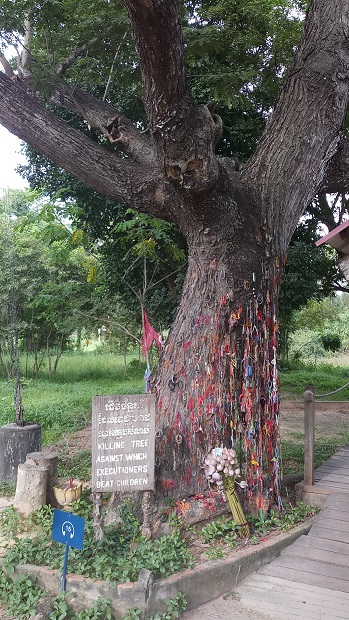 Killing  Field Tree for Smashing Children